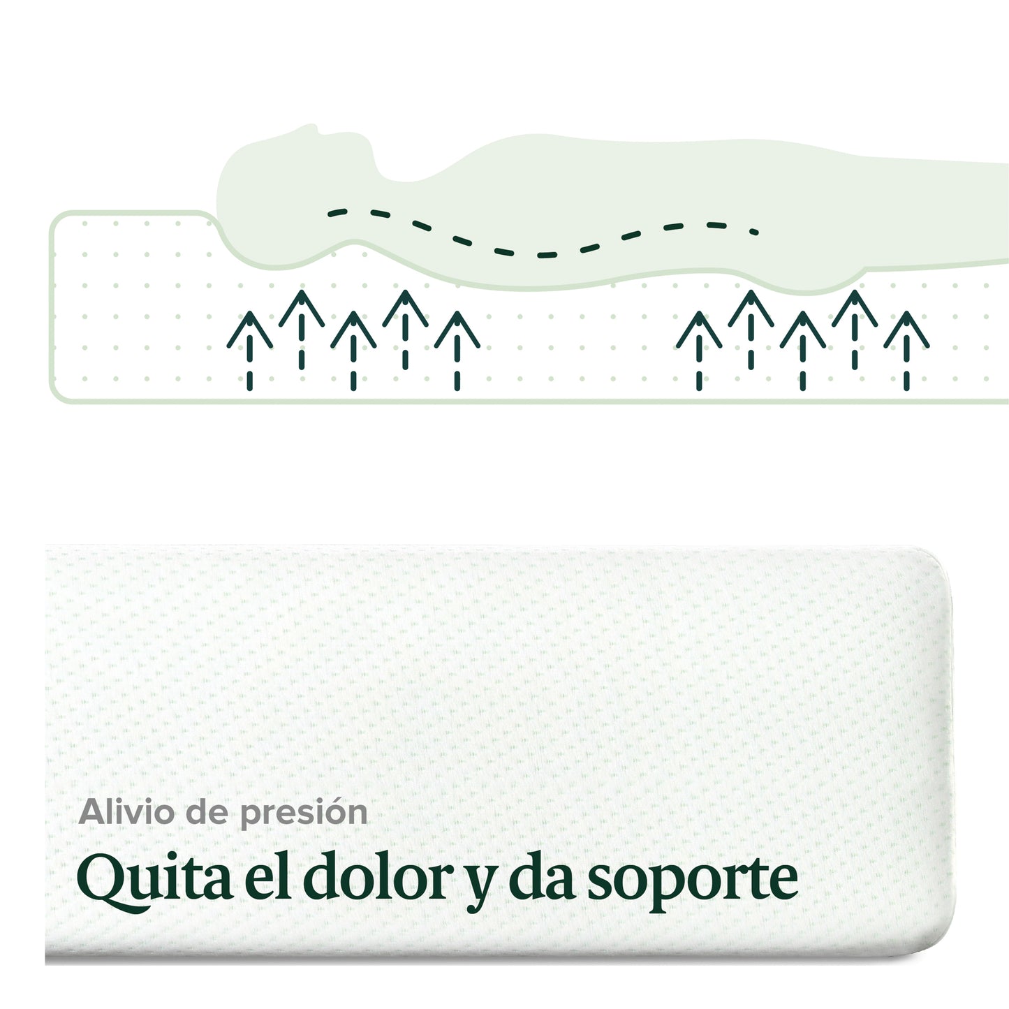 Colchón Zinus  Espuma Alivia Presión 15 cm