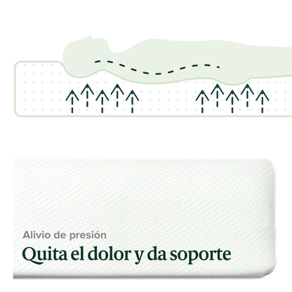 Colchón Zinus  Espuma Alivia Presión 15 cm